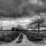 Real Surreal Landscape